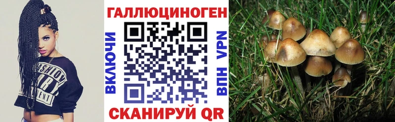 Псилоцибиновые грибы ЛСД  как найти   Сибай 