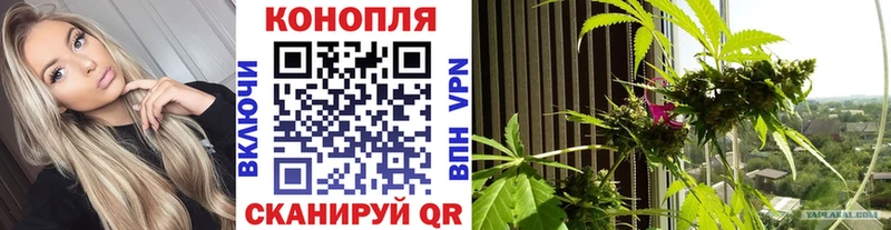 Шишки марихуана MAZAR  закладка  даркнет телеграм  Сибай  blacksprut ссылка 